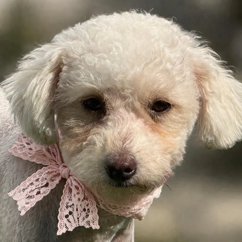 Mindy: Ready For Her thumbnail 5