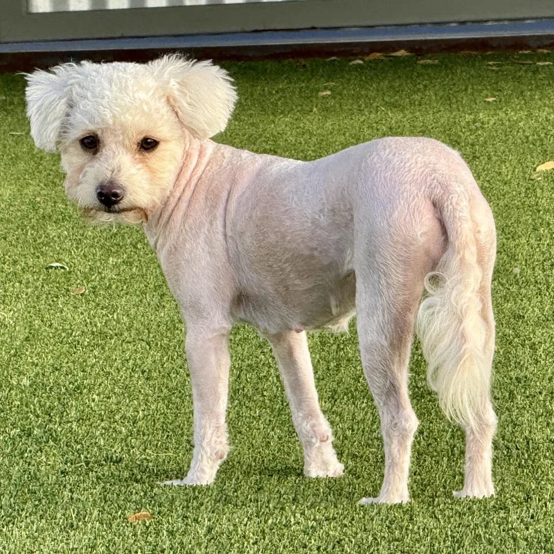 Mindy: Ready For Her