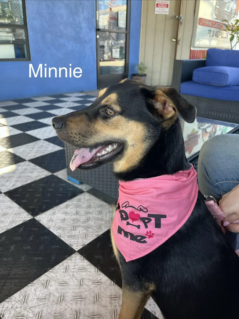 Minnie thumbnail 2