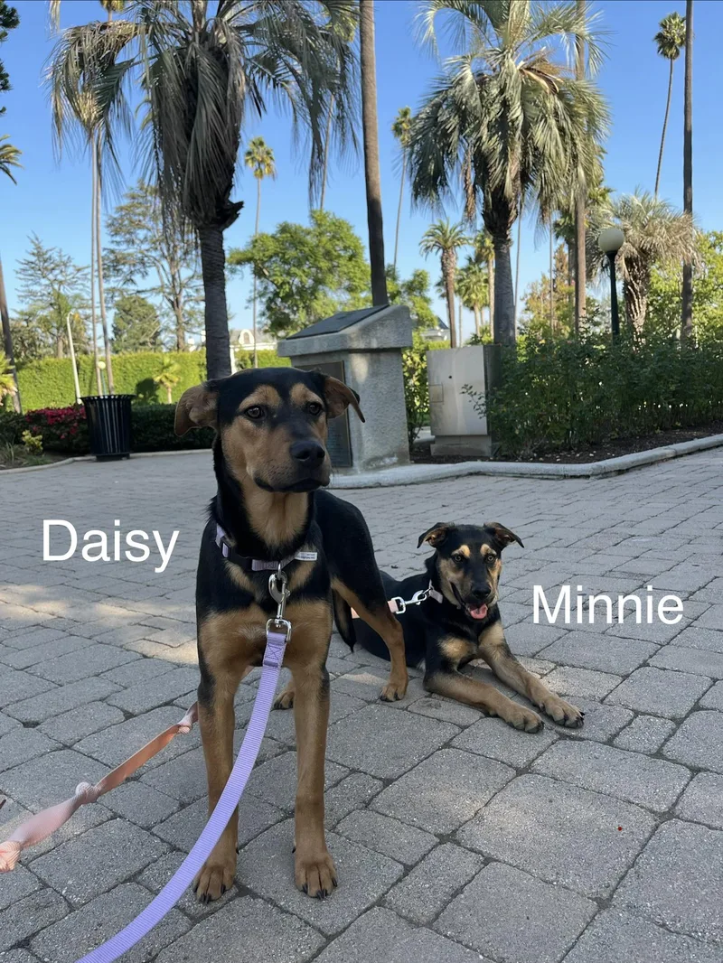 Minnie thumbnail 4
