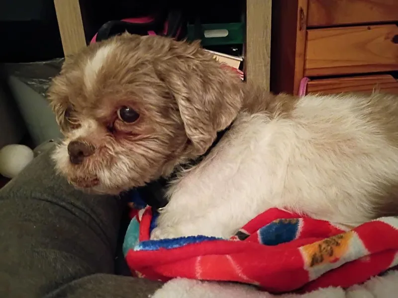 Bernie thumbnail 6
