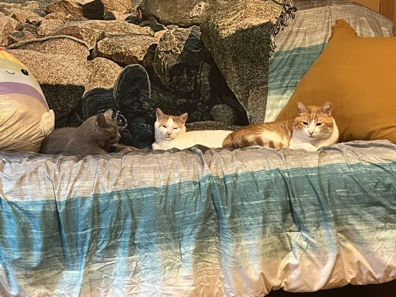 Houdini  See My thumbnail 4