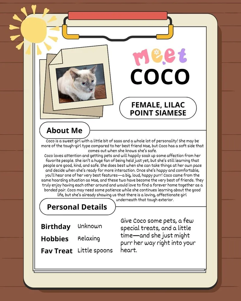 Coco thumbnail 2