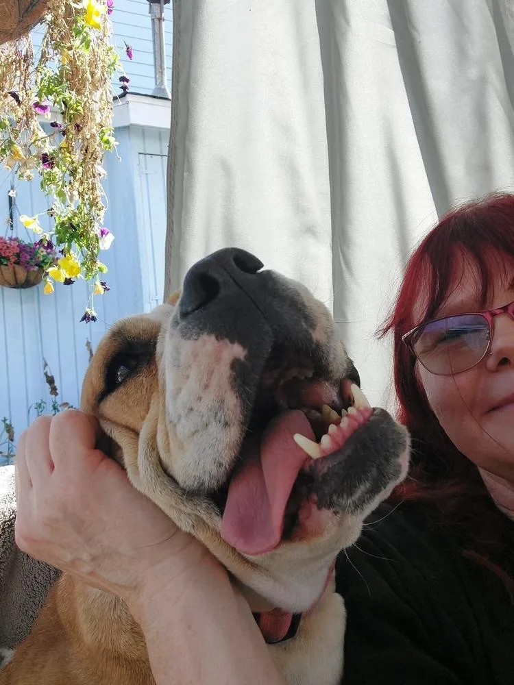 Diamond Darlin thumbnail 6