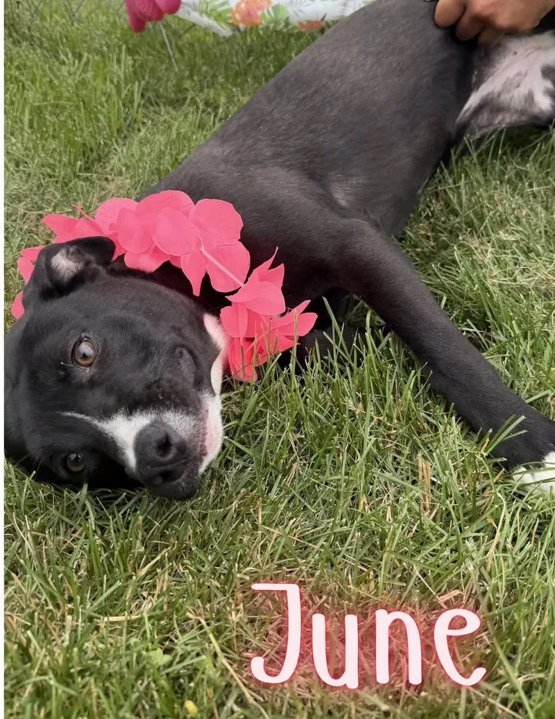 June