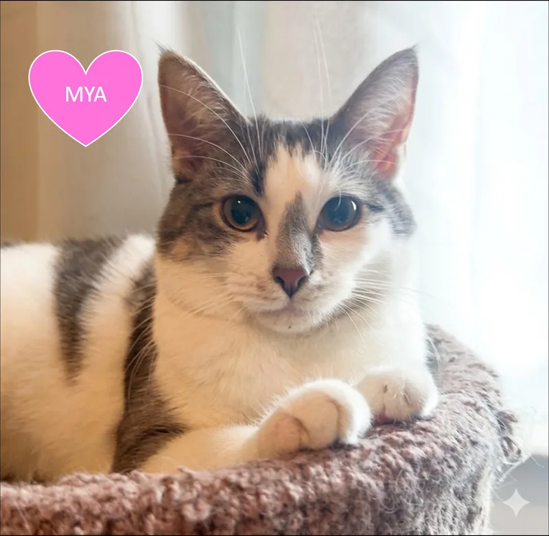 Frankie & Mya thumbnail 2