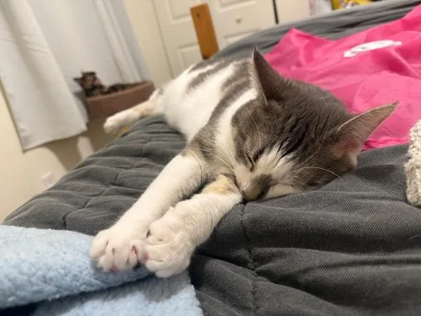 Frankie & Mya thumbnail 4