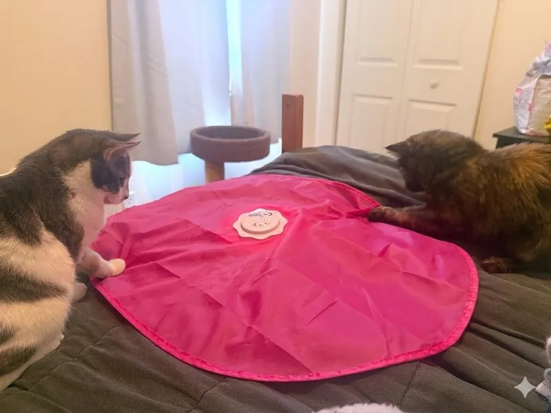 Frankie & Mya thumbnail 5