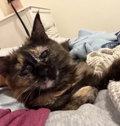 Frankie & Mya thumbnail 6