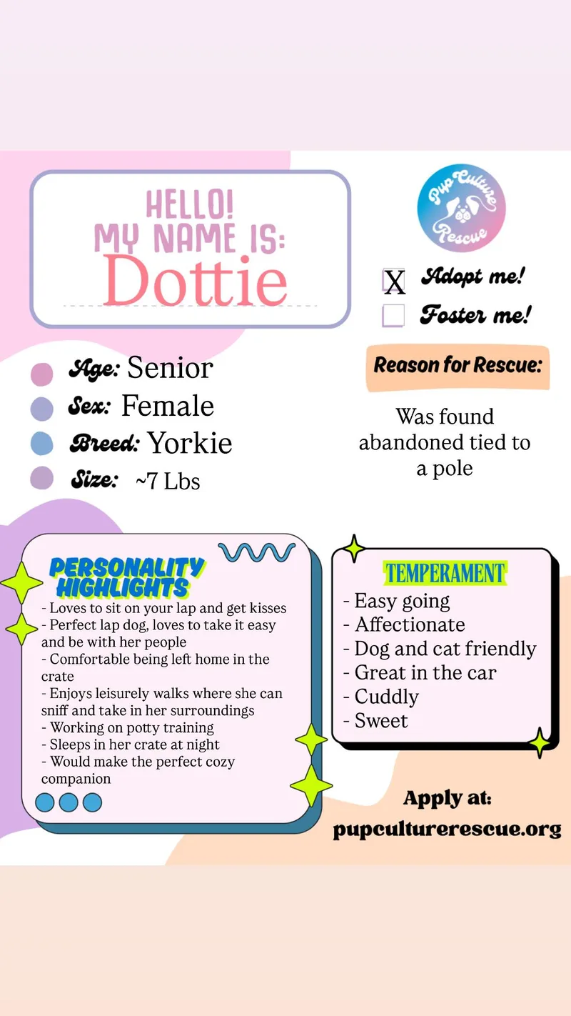 Dottie thumbnail 4