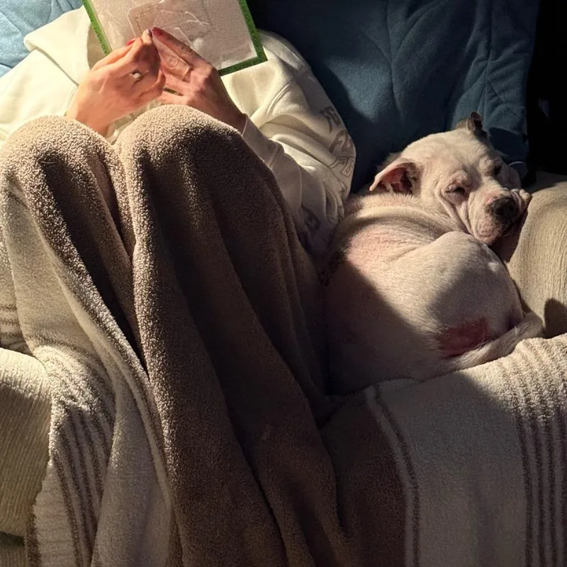 Lola thumbnail 3