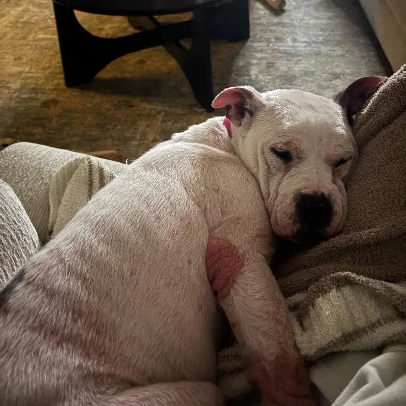 Lola thumbnail 4