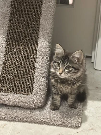 Paolo