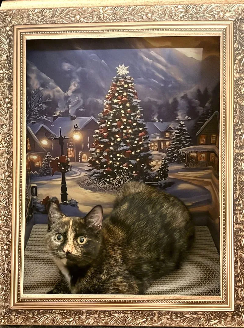 Chaka Khan thumbnail 2