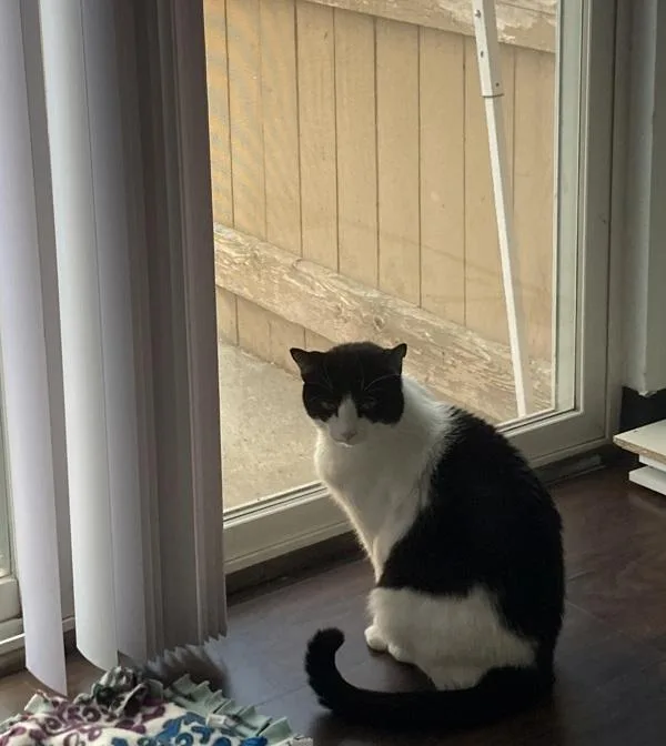Pepper