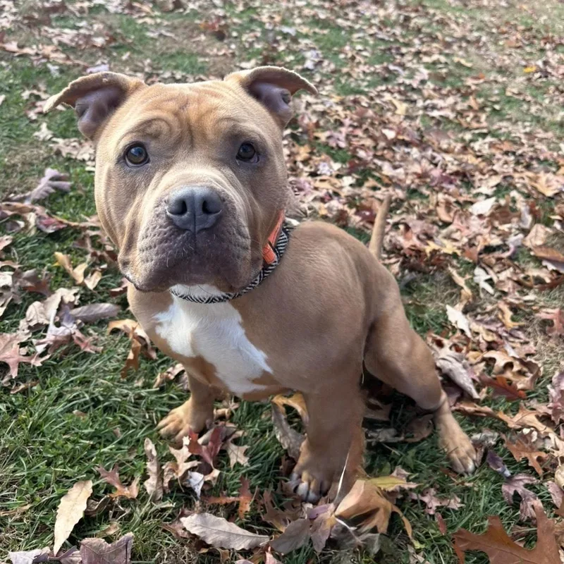 Cinnabon thumbnail 5