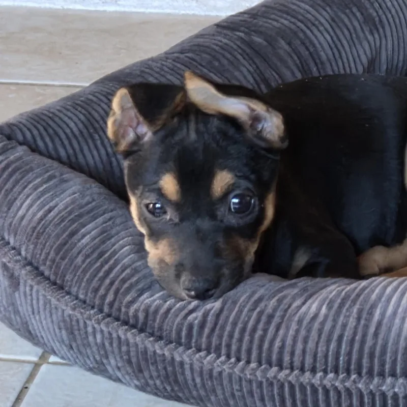 Eleanor  "ellie" thumbnail 2