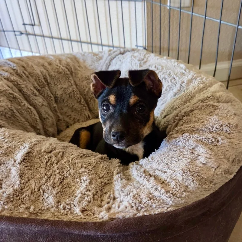 Eleanor  "ellie" thumbnail 3