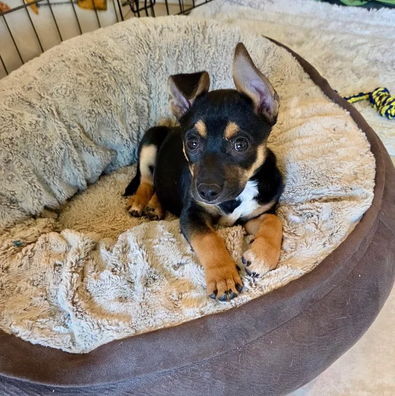 Eleanor  "ellie" thumbnail 4