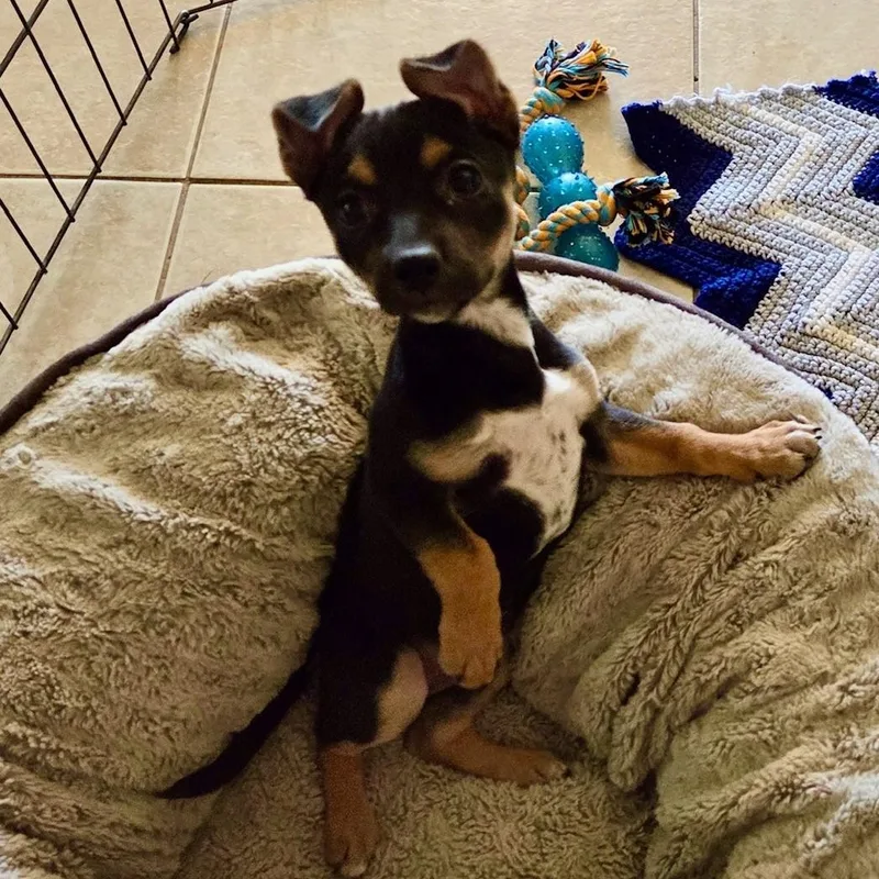 Eleanor  "ellie" thumbnail 5