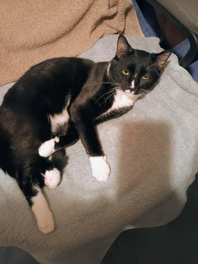 Onyx Ax & Qtip thumbnail 4