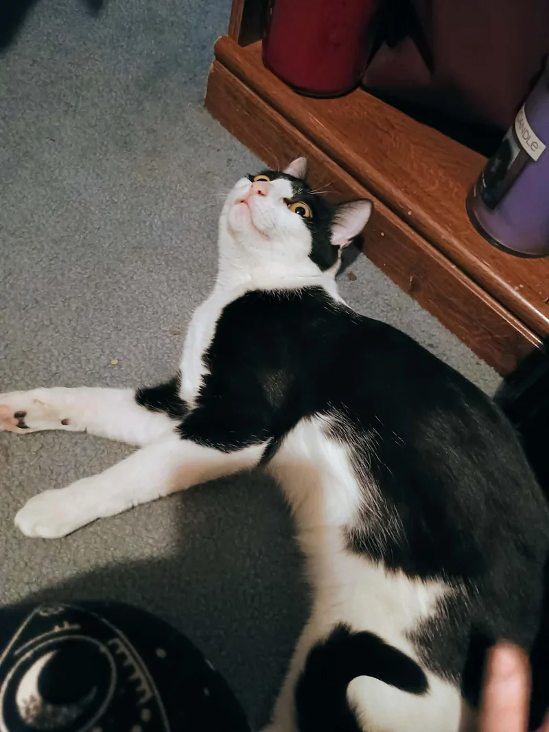 Onyx Ax & Qtip thumbnail 5