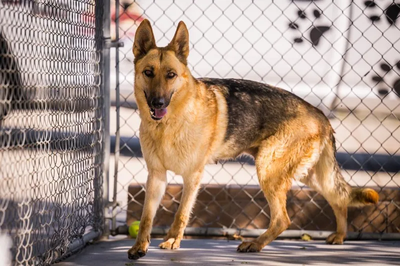 Eleanor Rigby thumbnail 2