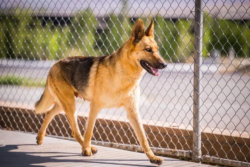 Eleanor Rigby thumbnail 3