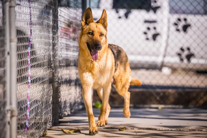 Eleanor Rigby thumbnail 4