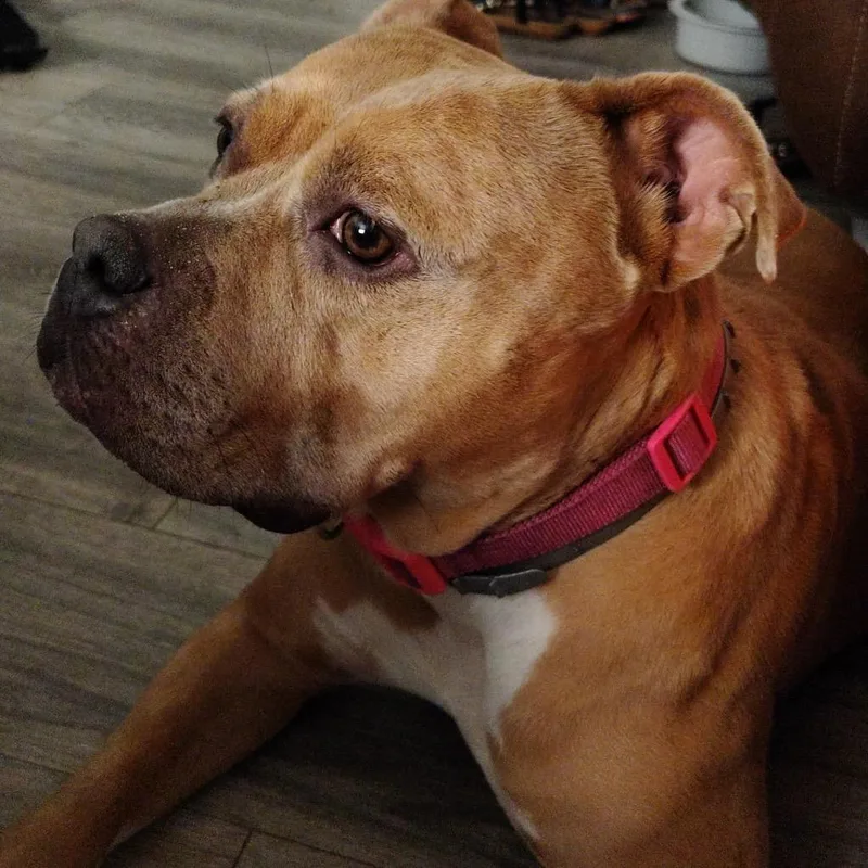 Coco