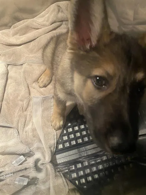 Luna