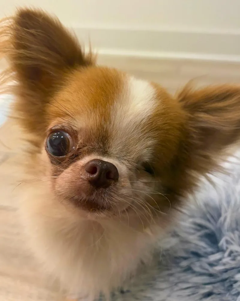 Wink thumbnail 2