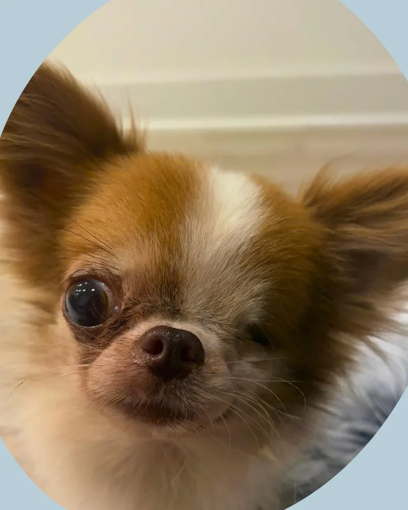Wink thumbnail 3