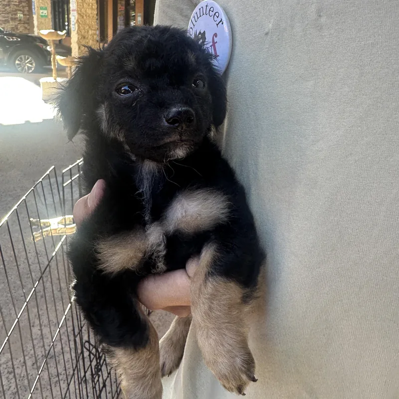 Luna