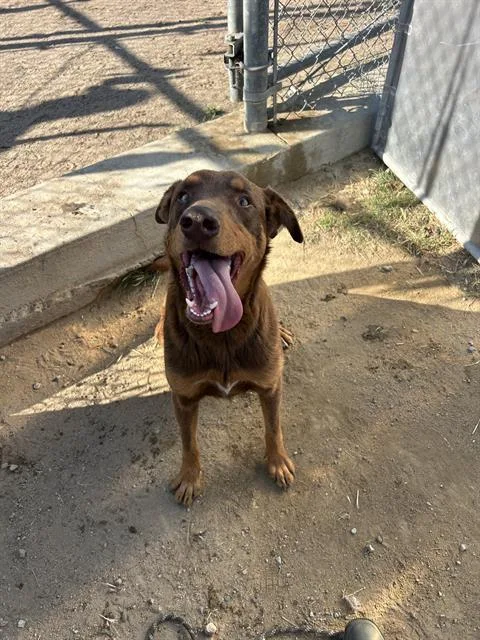 Travis  Longtime Resident!