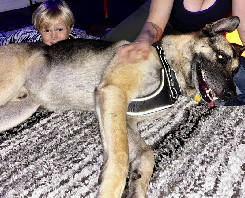 Rocky Derose thumbnail 2