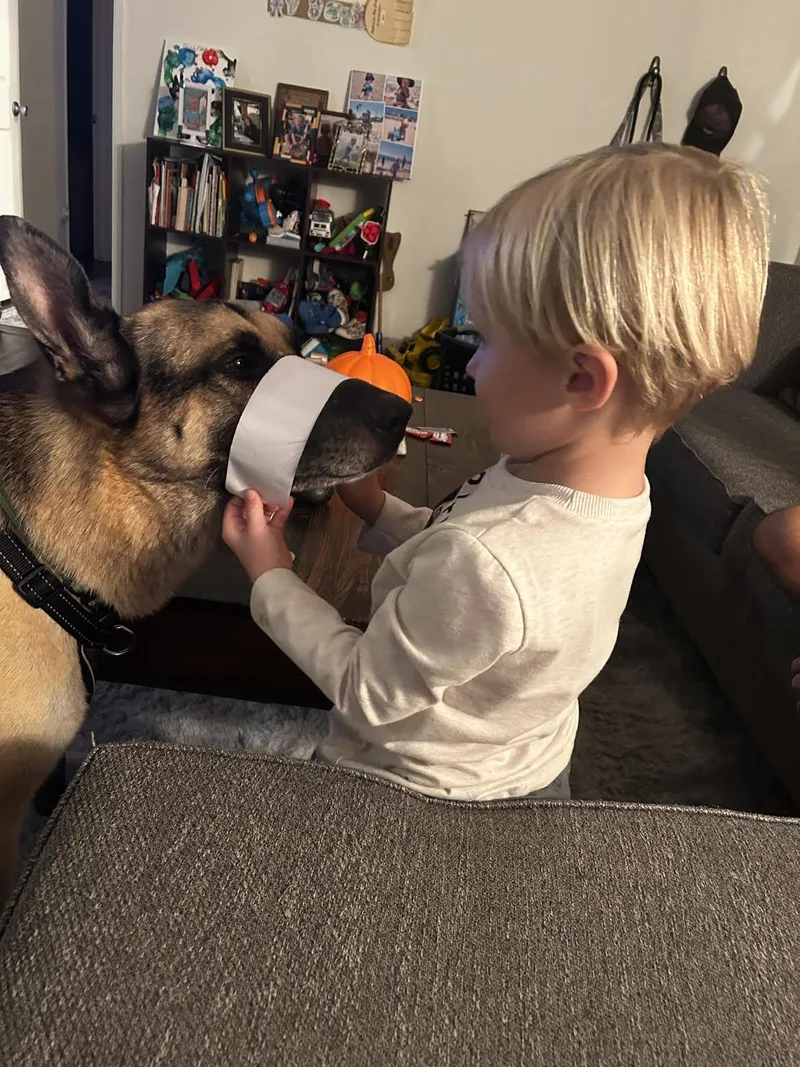 Rocky Derose thumbnail 5