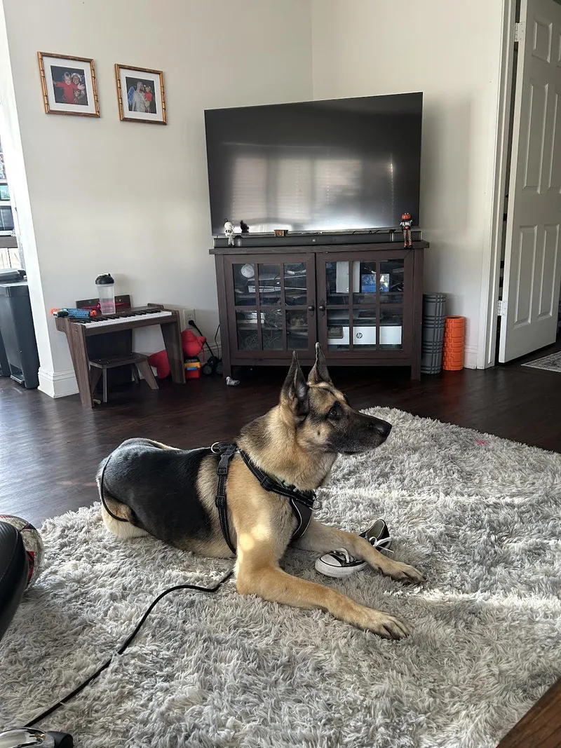 Rocky Derose thumbnail 6