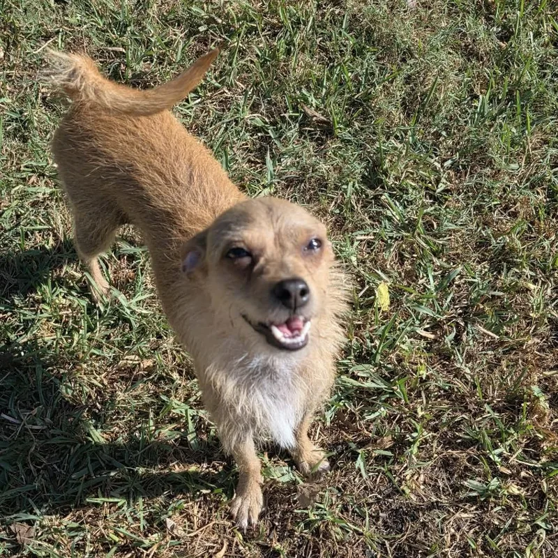 Bailey thumbnail 3