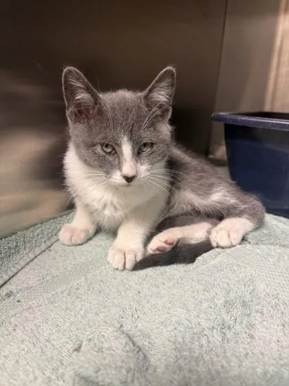 Winnie