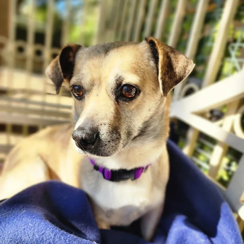 Teddy Chino Hills Location thumbnail 2