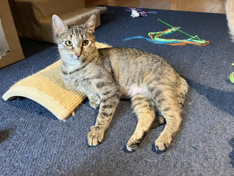 Emma thumbnail 3