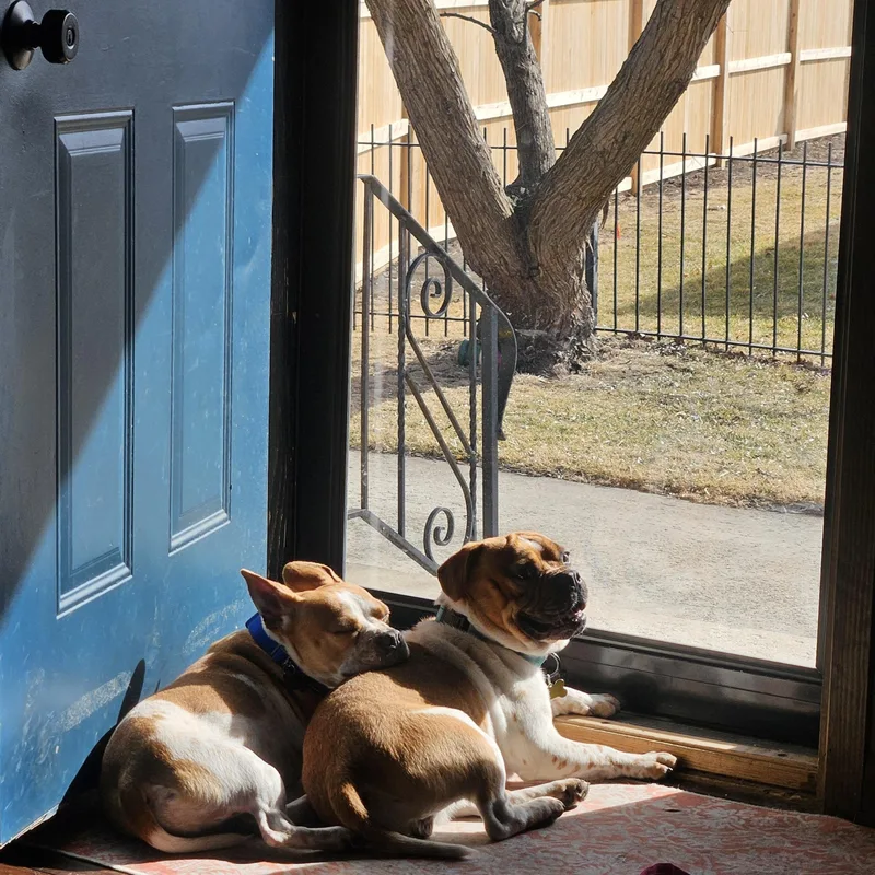 Riff Raff thumbnail 3