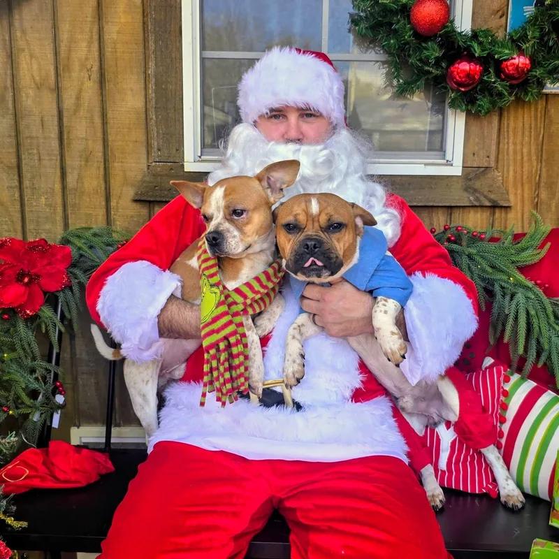 Riff Raff thumbnail 4