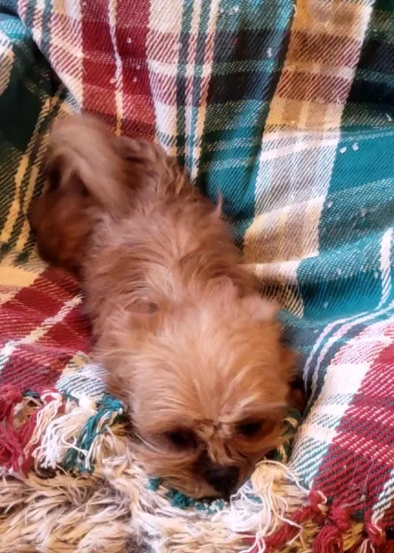 Bobbi Jo thumbnail 2