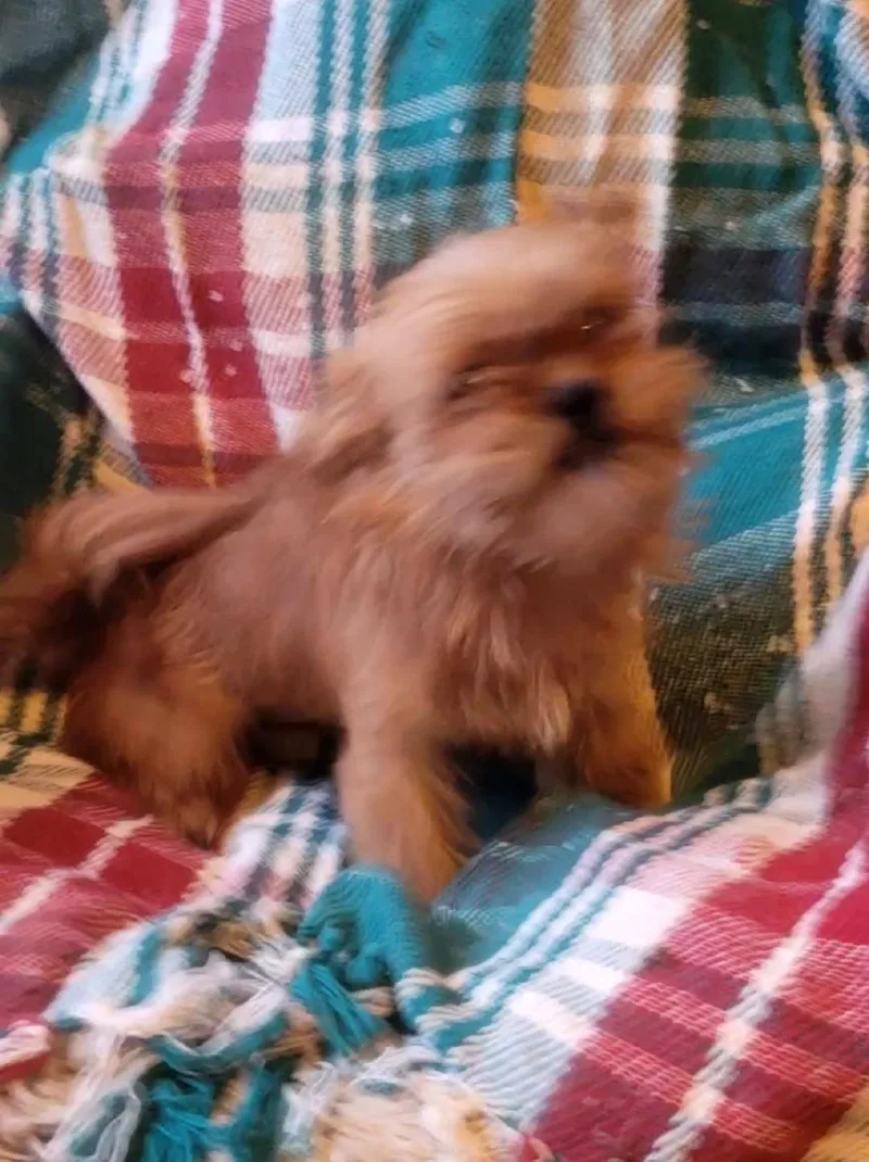 Bobbi Jo thumbnail 3