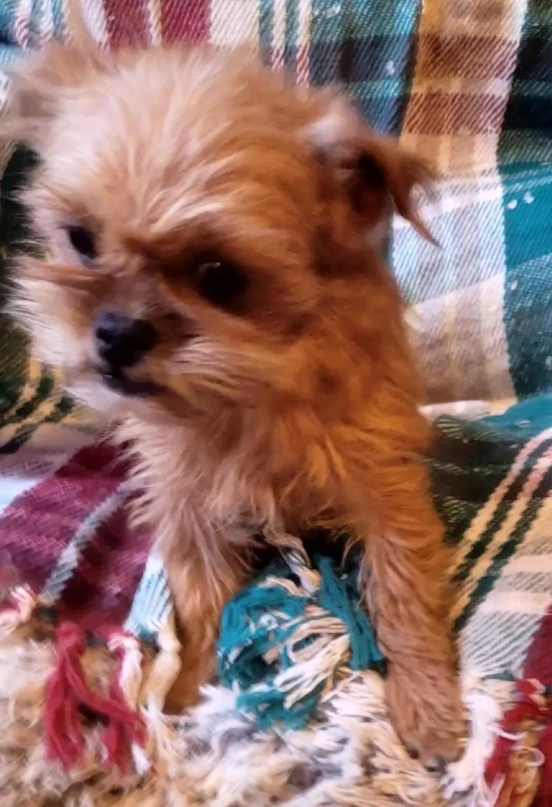 Bobbi Jo thumbnail 4