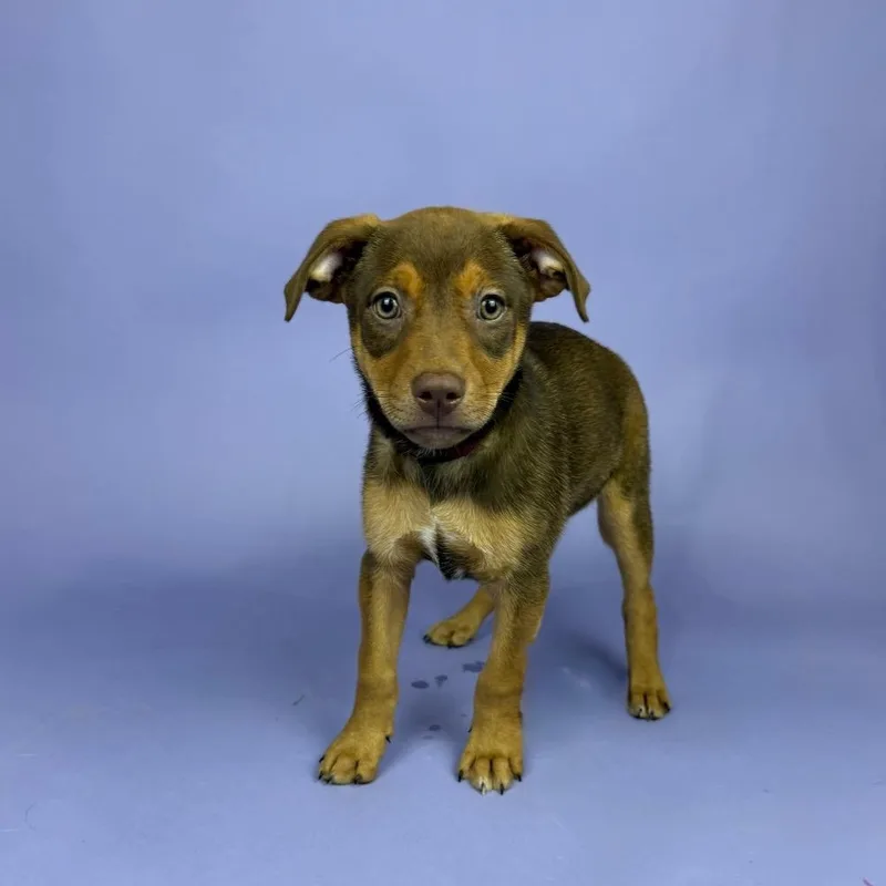 Jacqueline thumbnail 4