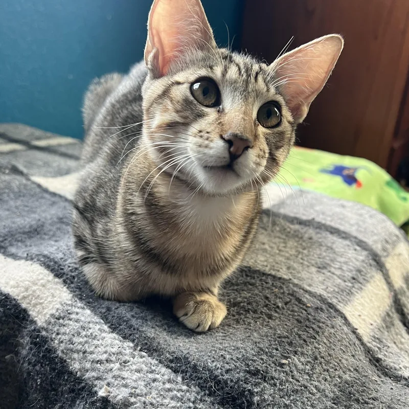 Tony
