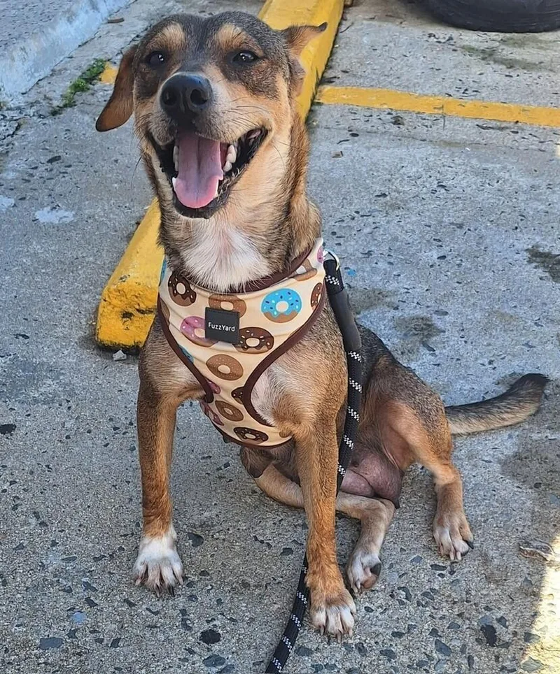 Mother thumbnail 4